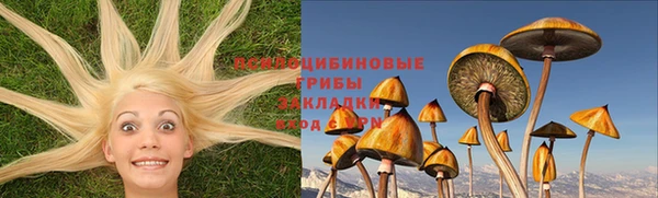 тгк Дмитриев