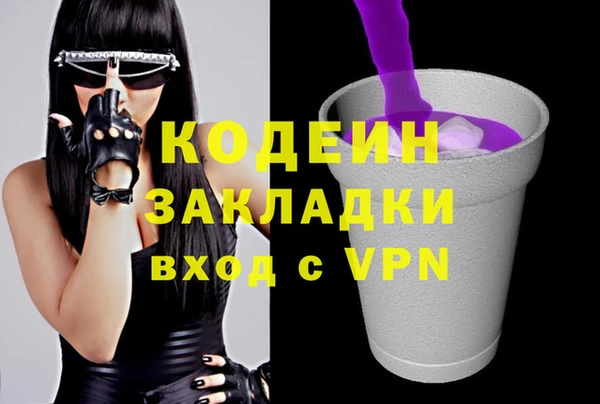 тгк Дмитриев