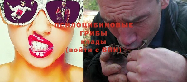 эйфоретик Дмитров