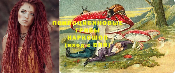 эйфоретик Дмитров