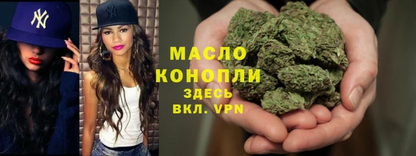 тгк Дмитриев