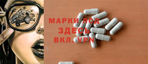 тгк Дмитриев