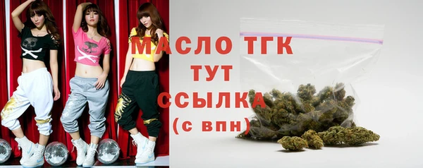 тгк Дмитриев