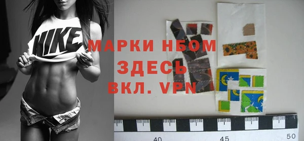 тгк Дмитриев