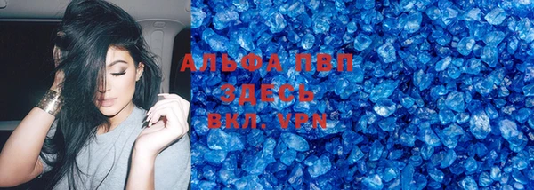 тгк Дмитриев
