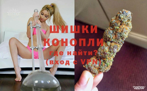 тгк Дмитриев