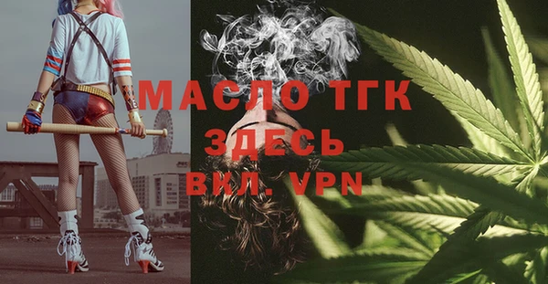 тгк Дмитриев