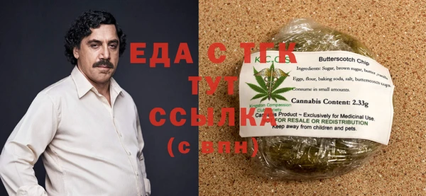тгк Дмитриев