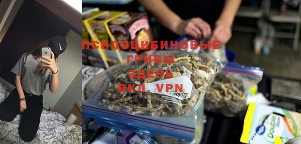 эйфоретик Дмитров
