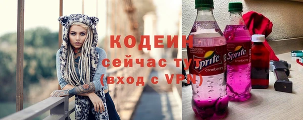 эйфоретик Дмитров