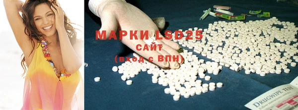тгк Дмитриев