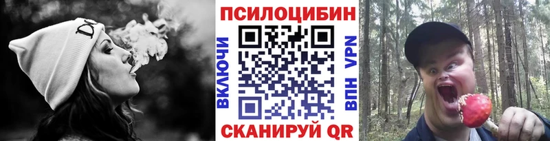 Псилоцибиновые грибы MAGIC MUSHROOMS  Купить закладки  Дальнегорск 